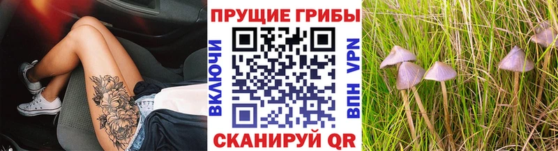 Галлюциногенные грибы Psilocybine cubensis Белинский